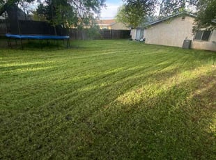 Monica A.'s Lawn Service service result