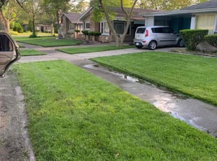 JEZELLE E.'s Lawn Care service result