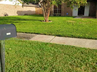 Charles A W.'s Yard Cutting service result