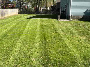 Angele A.'s Lawn Maintenance service result