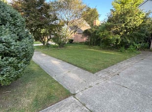 Janeen C.'s Lawn Maintenance service result
