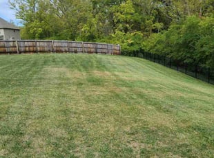 Kareem T.'s Lawn Maintenance service result