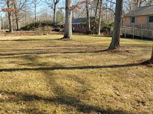Leaf Removal by Chris Thomas for Marvin M. in Chesterfield, VA