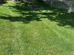 Anuj U.'s Lawn Mowing service result
