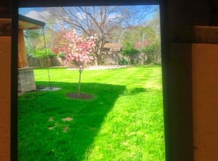 "Gloria C.'s Yard Cutting service result
