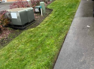 Alicia B.'s Lawn Mowing Service service result