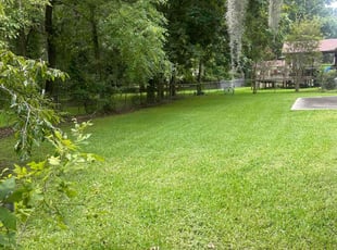 David O.'s Lawn Mowing service result