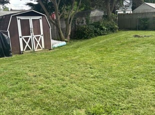 Alex G.'s Lawn Service service result