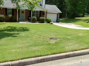 Natalie P.'s Lawn Care service result