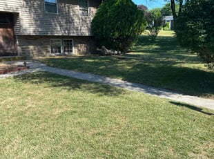 Emory E.'s Lawn Care service result