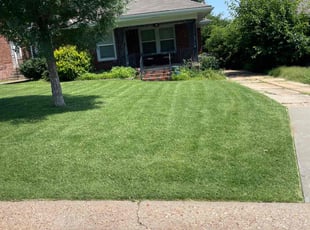 Richard H.'s Lawn Care service result
