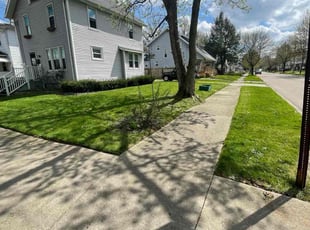 Anna P.'s Lawn Mowing service result