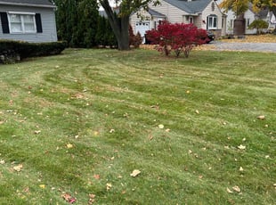 Leaf Removal by James Serio for William B. in Rochester, NY