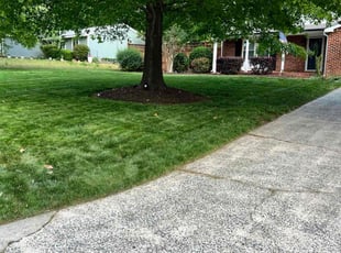 Karla B.'s Lawn Care service result