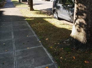 Leaf Removal by James Benefield for Kim K. in Portland, OR