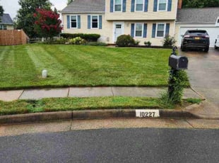 Harry H.'s Lawn Care service result