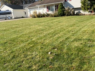 Marilyn s.'s Lawn Service service result