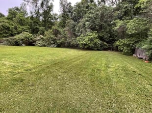 Briony C.'s Lawn Mowing service result
