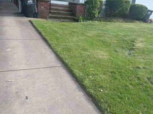 Jennifer C.'s Yard Cutting service result