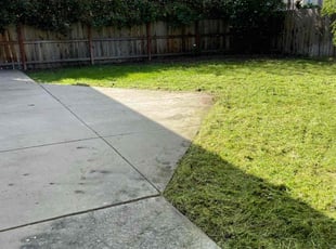 Amelia W.'s Grass Cutting service result