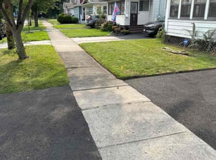 Susan B.'s Yard Cutting service result