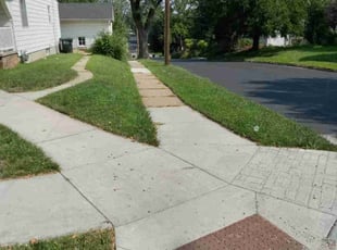 Patrick K.'s Lawn Mowing service result