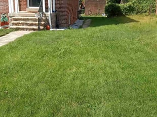 Ana C.'s Lawn Mowing service result
