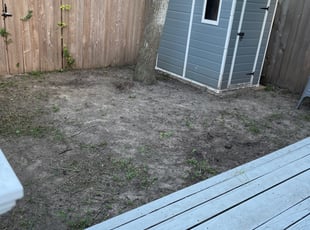 Leaf Removal by Derrick Koontz for Majesca W. in Houston, TX