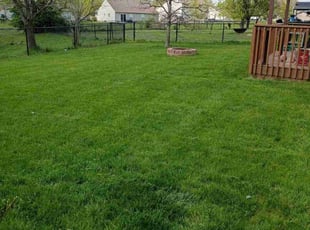 Tiffiney J.'s Lawn Service service result