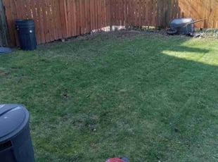 Letha B.'s Lawn Maintenance service result