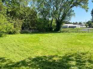 Steve C.'s Lawn Mowing service result