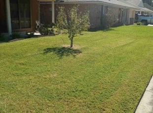 Alyssa S.'s Lawn Care service result