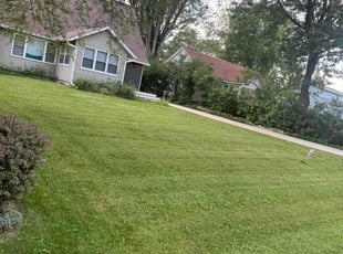 Deb K.'s Lawn Care service result