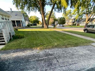 latoria C.'s Lawn Maintenance service result