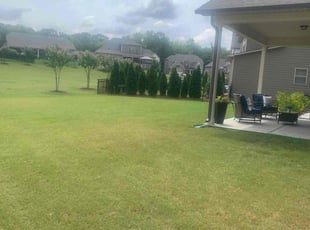 Tye j.'s Lawn Mowing Service service result