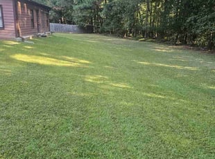 Shane O.'s Lawn Care service result