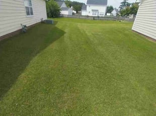 Kris K.'s Lawn Maintenance service result