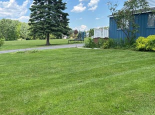 Shantell B.'s Lawn Maintenance service result
