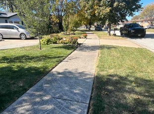 Laura B.'s Lawn Care service result