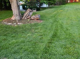 Jeremy O.'s Lawn Service service result