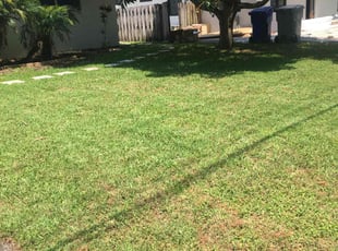Jennifer G.'s Yard Cutting service result
