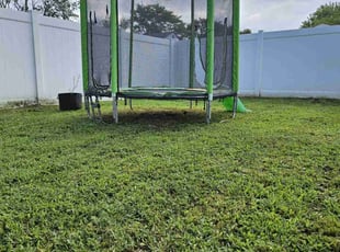 Cleanups by Stephen Wright for Dallas G. in Hampton, VA
