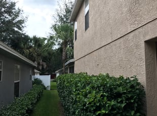 Bush Trimming by William Chavers for Brian D. in Riverview, FL