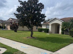 Joe H.'s Lawn Care service result