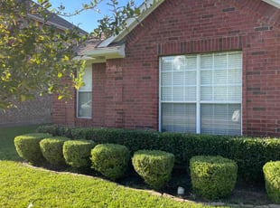 Stacy O.'s Lawn Care service result