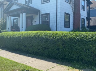 Bush Trimming by James Breeden for Robert G. in Buffalo, NY