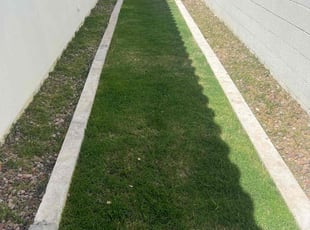 Kristin V.'s Lawn Mowing service result