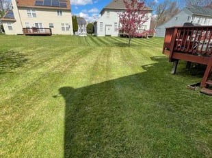 Habeeb k.'s Grass Cutting service result