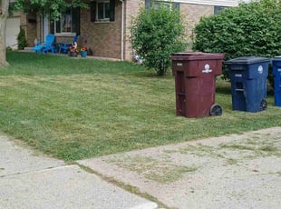 Doug W.'s Yard Cutting service result