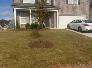 Demetris B.'s Lawn Maintenance service result